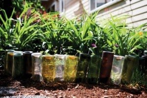 Bottle Garden